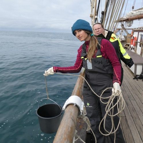 Field Work in Iceland (2023)