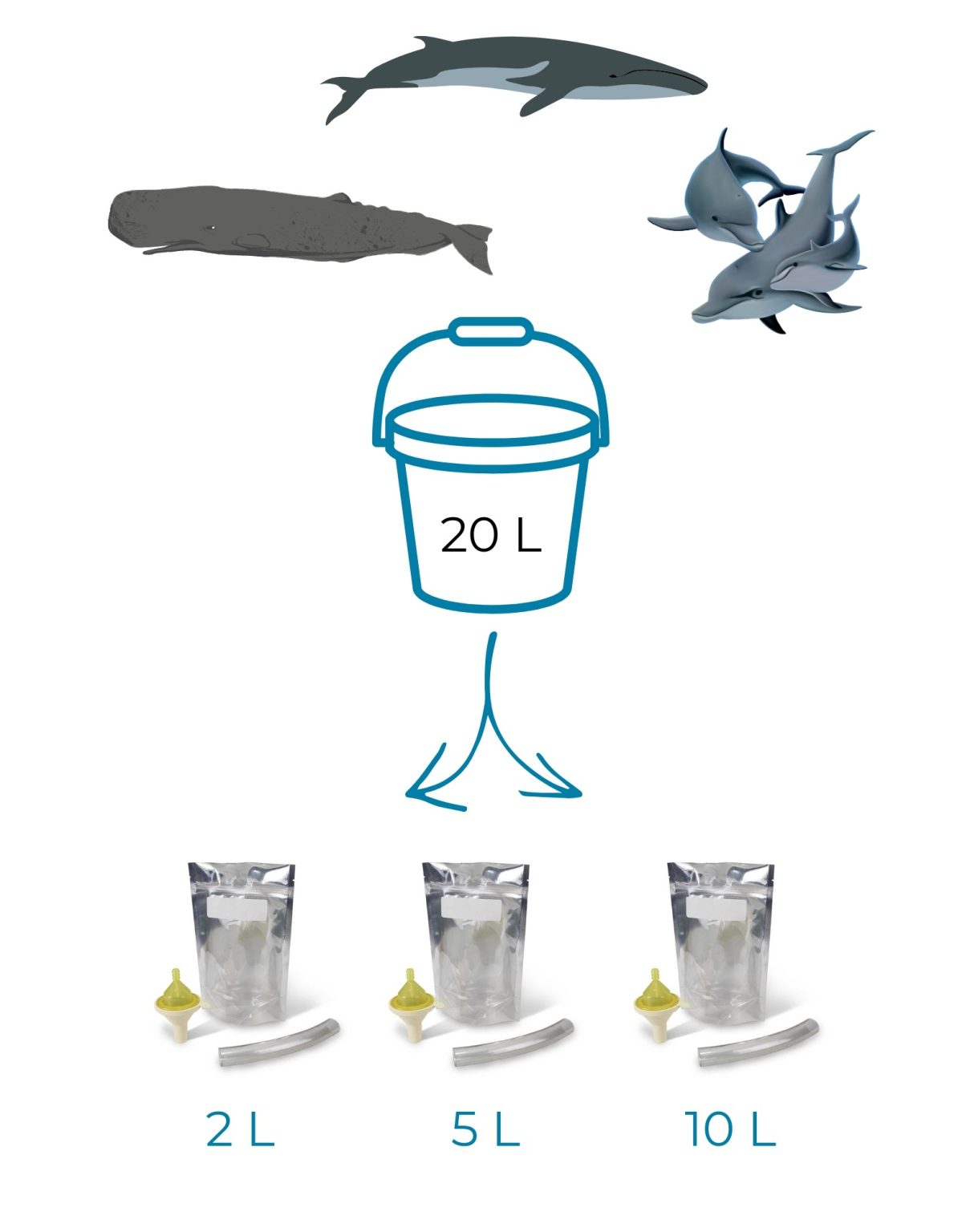 Italian sampling protocol 2023