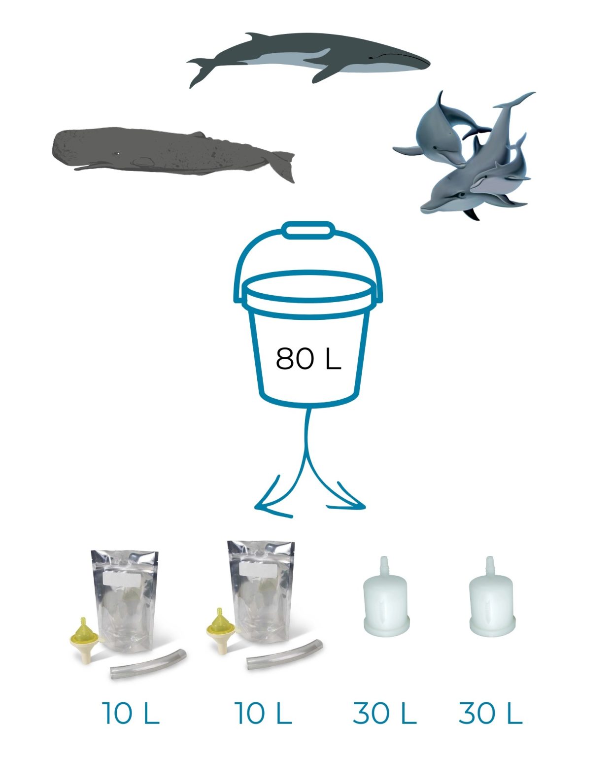 Italy Sampling Protocol 2024