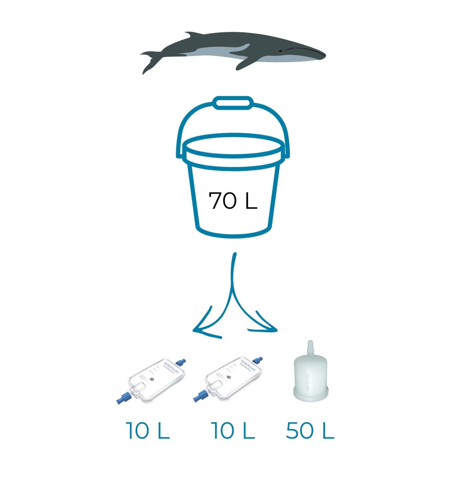 Italian team sampling protocol 2025