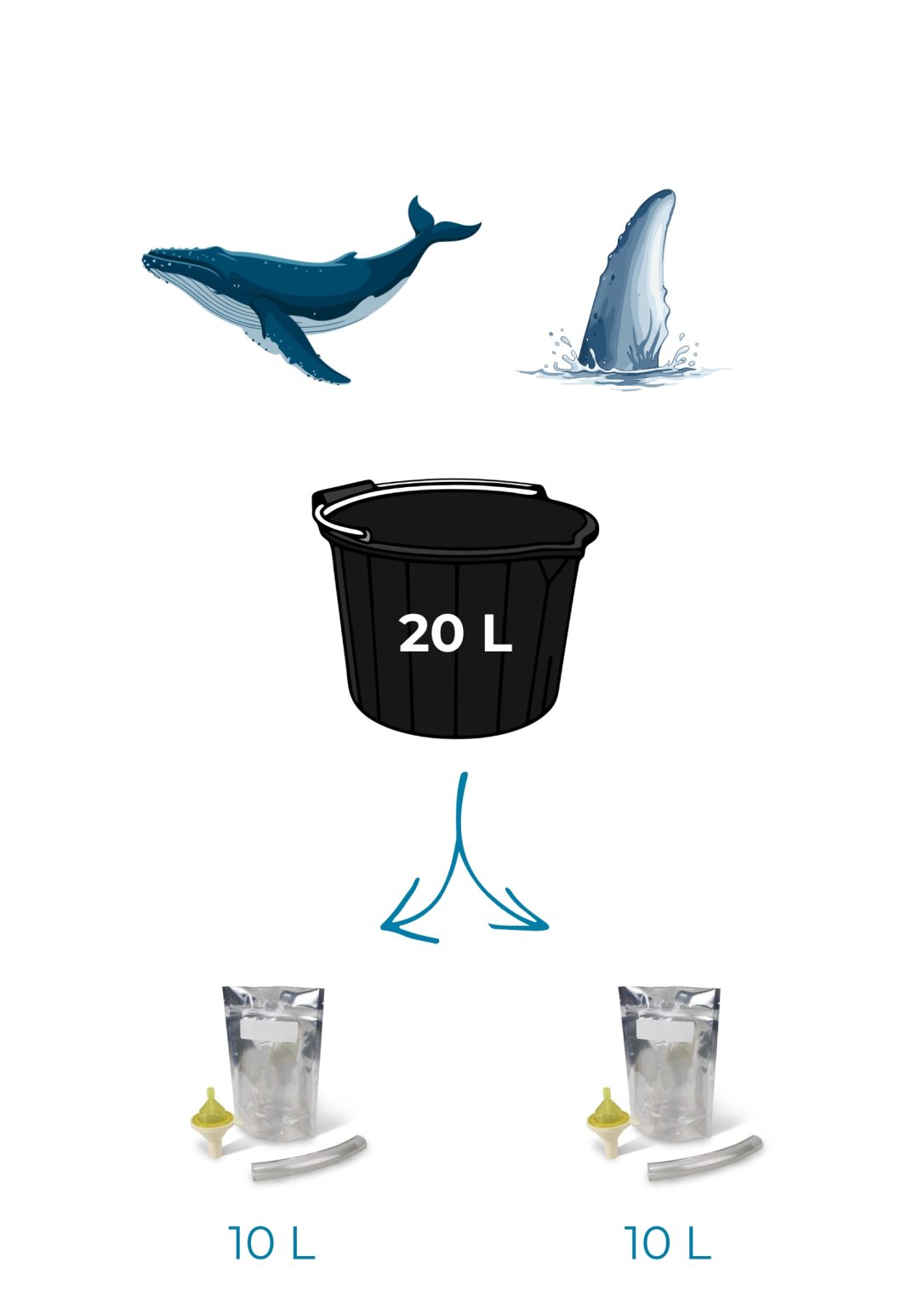 Iceland Sampling Protocol 2024