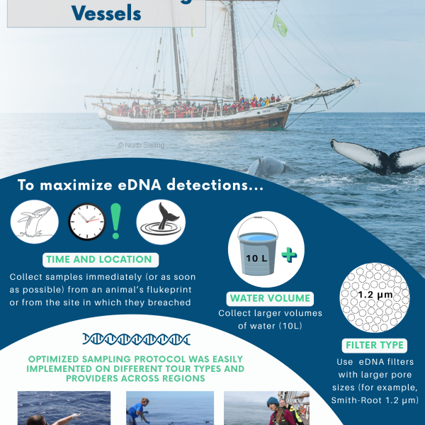 Bridging Oceans: eWHALE and Ocean Wise Unite in eDNA Research (July 2025)