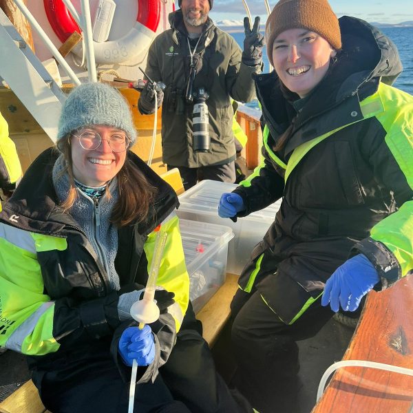 Field Work in Iceland (2025)