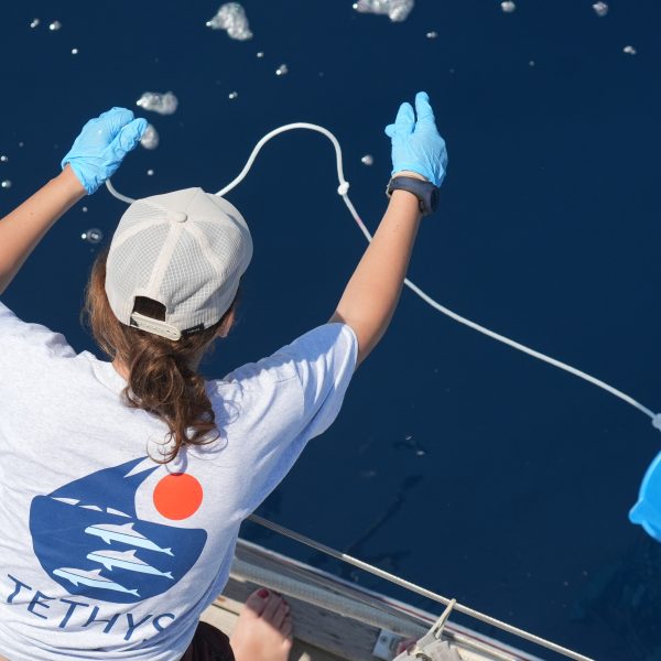 Field Work in the Med Sea (2024)