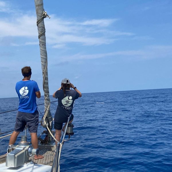 Mario Gabualdi & Eleonora Barbaccia 