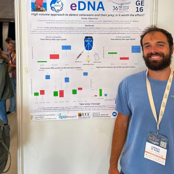 Poster session at the 36th European Cetacean Society 2025