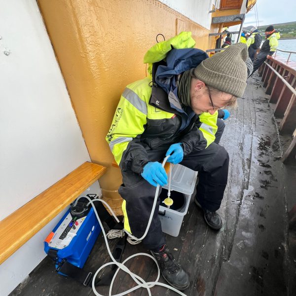 Field Work in Iceland (2024)