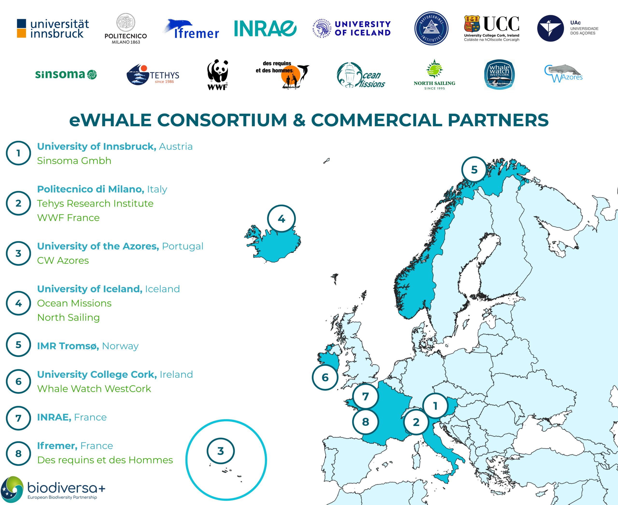 //ewhale.eu/wp-content/uploads/2025/12/MAP-eWHALE-PROJECT-PARTNERS-1-scaled.png